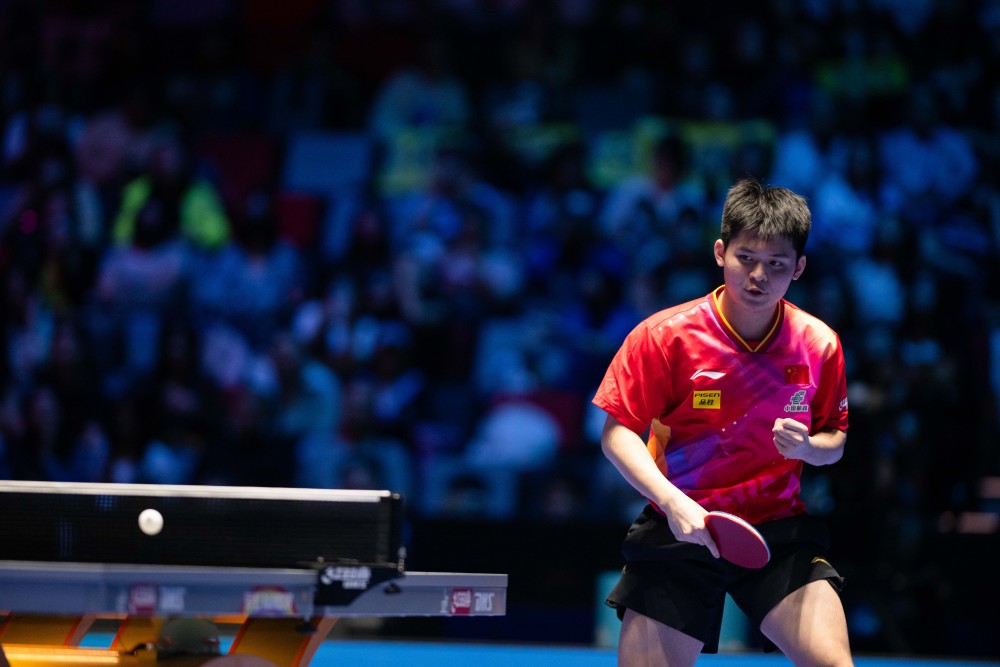 意见和发展 意见和发展