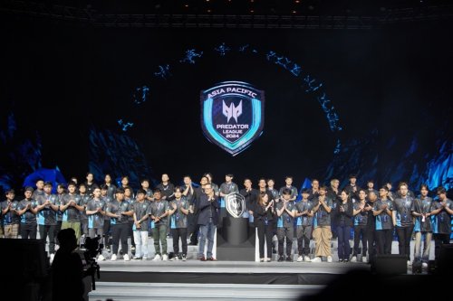 了鲜活的佐 了鲜活的佐