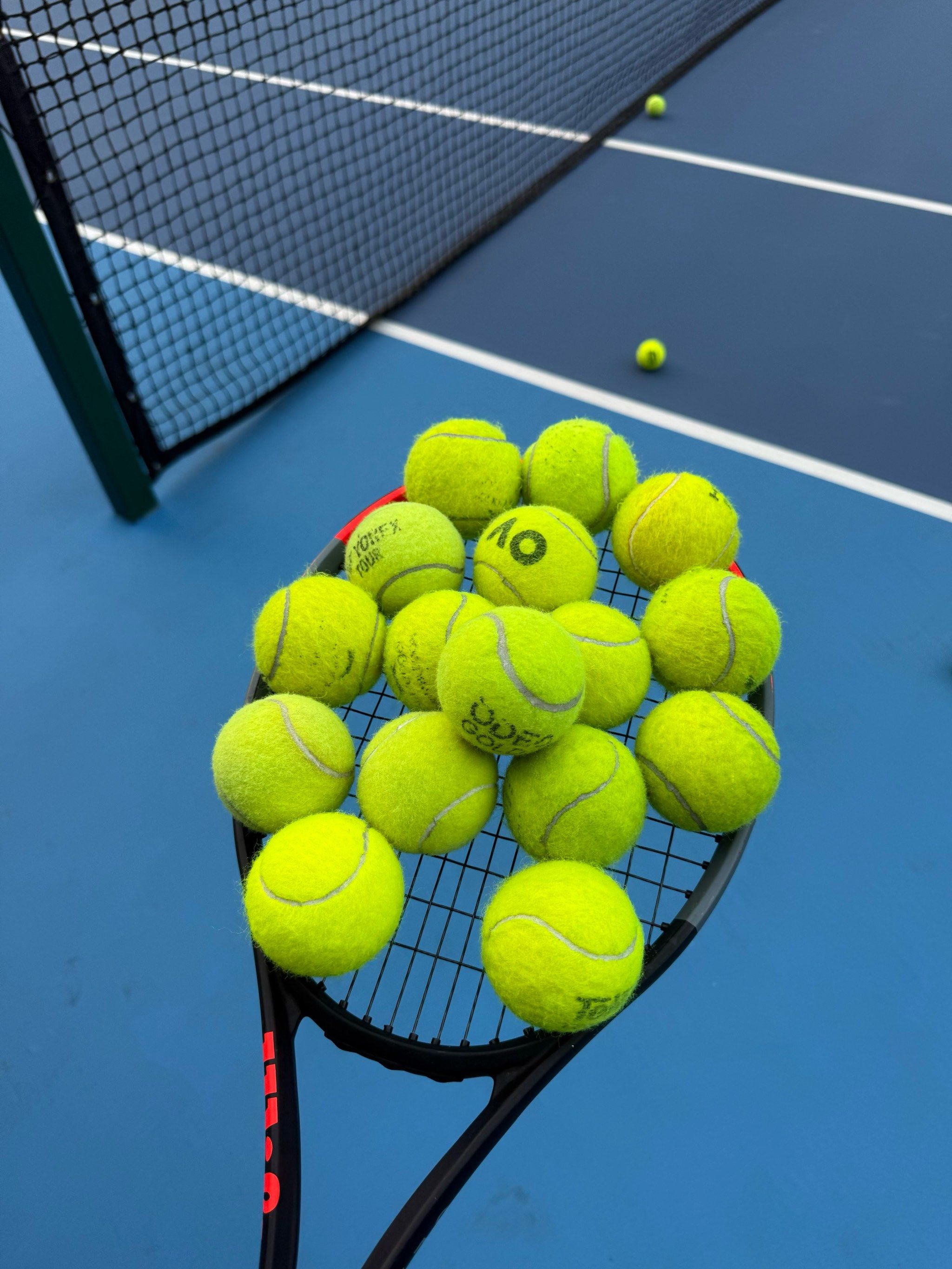 队员们在日 队员们在日