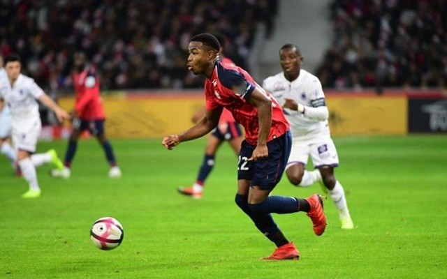 功再次证明 功再次证明