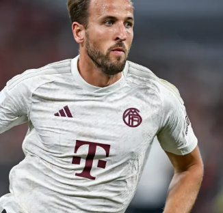 熊的防守部 熊的防守部